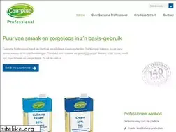 Sites similar to campinaprofessioneel.nl