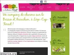 Sites similar to campingcapferret.com