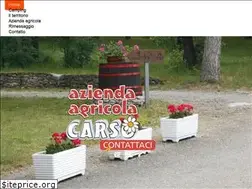 Sites similar to campingcarso.com
