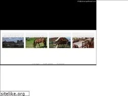 Sites similar to campingelbrezal.com