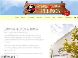 Sites similar to campingpelinos.com