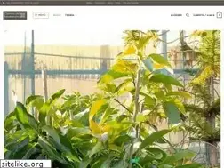 Sites similar to campodebenamayor.es