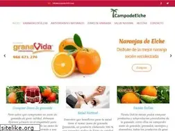 Sites similar to campodeelche.com