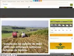 Sites similar to campogalego.es