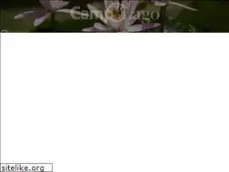 Sites similar to campolagocr.com