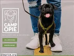 Sites similar to campopiedaycare.com