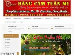 Sites similar to camtuanmi.vn