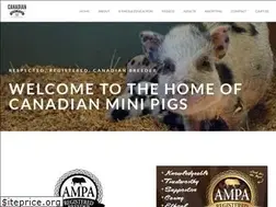 Sites similar to canadianminipigs.ca