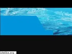 Sites similar to canalreunion.com