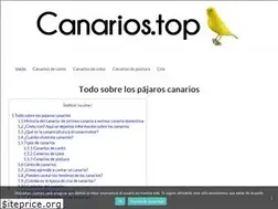 Sites similar to canarios.top