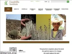 Sites similar to candelilla.org