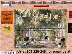 Sites similar to candicoloredpoms.com