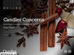 Sites similar to candler.in