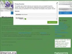 Sites similar to candtirispatch.com