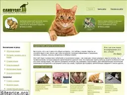 Sites similar to candycat.ru