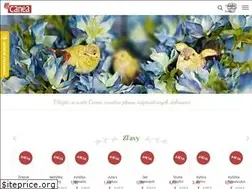 Sites similar to caneacreative.sk