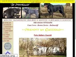 Sites similar to canecorsodipaianello.it