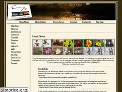 Sites similar to canenart.com