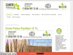 Sites similar to canerfidancilik.com