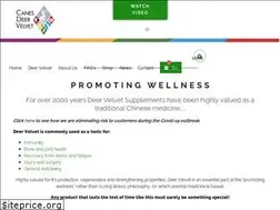 Sites similar to canesdeervelvet.com
