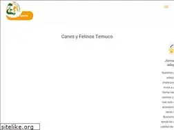 Sites similar to canesyfelinos.com