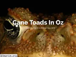 Sites similar to canetoadsinoz.com