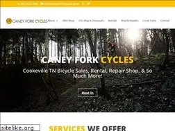 Sites similar to caneyforkcycles.com