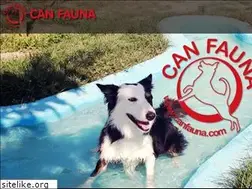 Sites similar to canfauna.com