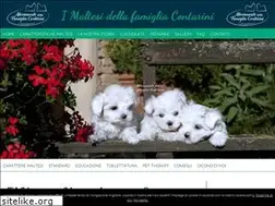 Sites similar to canimaltesi.it
