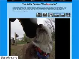 Sites similar to caninehappyhour.com