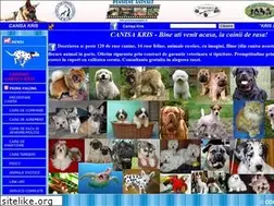 Sites similar to canisakris.ro
