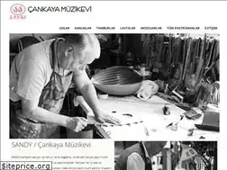 Sites similar to cankayamuzikevi.com