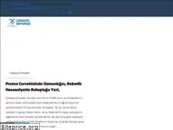 Sites similar to cankayaortopedi.com