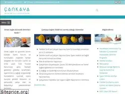 Sites similar to cankayaosgb.com.tr