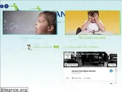 Sites similar to cankayaozelegitim.com