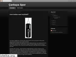 Sites similar to cankayasporkursu.com