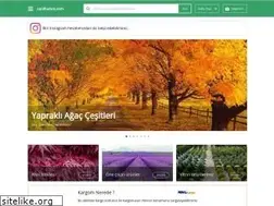 Sites similar to canlibahce.com