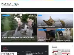 Sites similar to canlilar.net