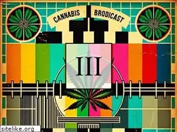 Sites similar to cannacoin.org