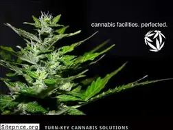 Sites similar to cannapro.co