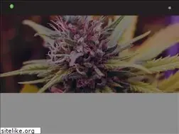 Sites similar to cannavidacannabis.com
