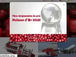 Sites similar to cannebergesquebec.com