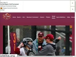 Sites similar to cannoneerathletics.com