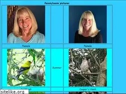 Sites similar to canopyaccess.com