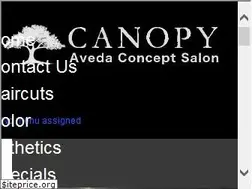 Sites similar to canopyavedasalon.com