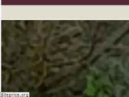 Sites similar to cansisquet.com