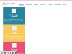 Sites similar to cansusuren.com.tr