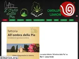 Sites similar to cantalupolumache.it
