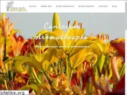 Sites similar to canteirosaromaterapia.com