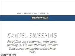 Sites similar to cantelsweeping.com